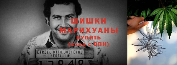 сатива Баксан