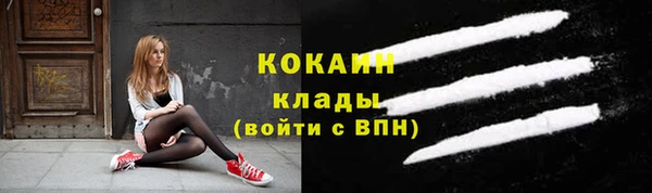 ешки Аркадак