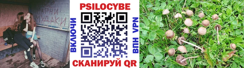 наркота  Гулькевичи  Псилоцибиновые грибы прущие грибы 